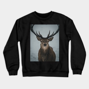 'Winter Stag', Blair Atholl, near Pitlochry. Crewneck Sweatshirt